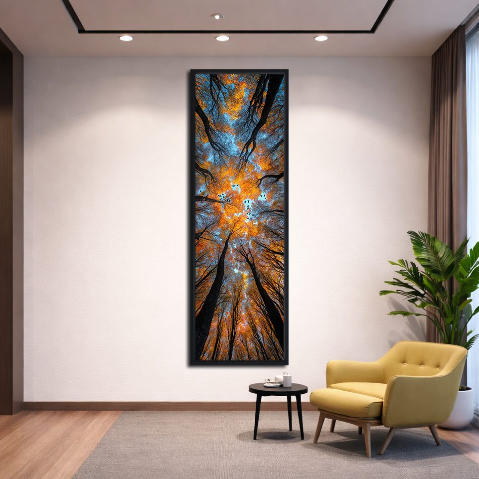 Autumn Forest Canopy from Below canvas wall art, black floating frame