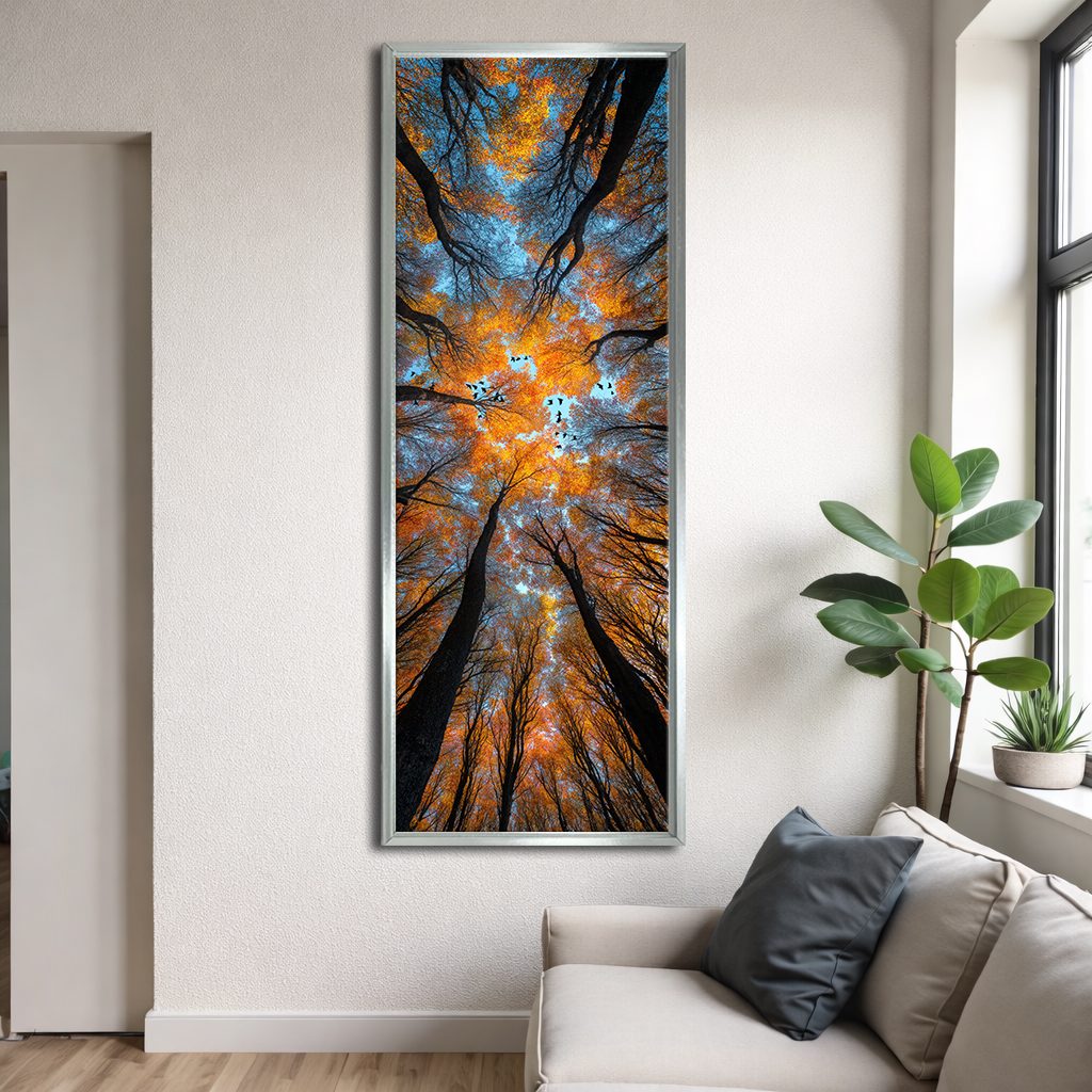 Autumn Forest Canopy from Below canvas wall art, silver floating frame