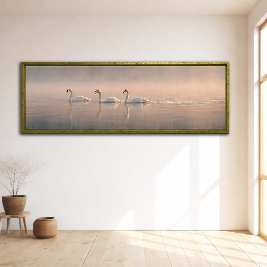 Three Swans on Misty Lake canvas wall art, gold floating frame